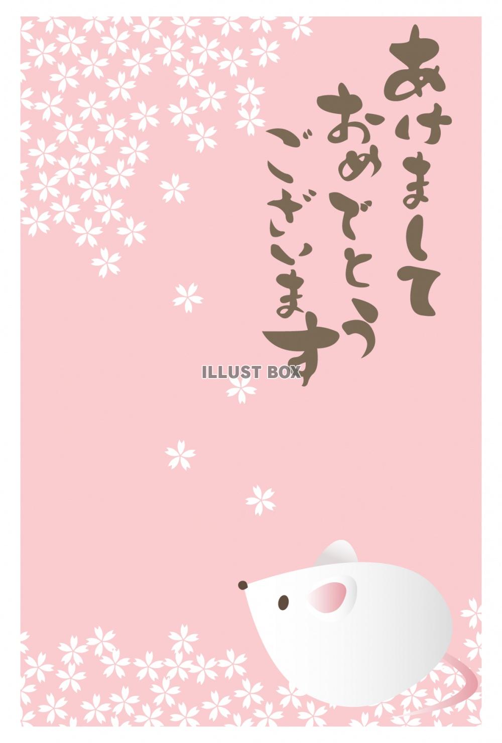 子年　年賀状　桜の花と白ネズミ