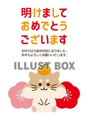 頭にミカンを乗せたロボロフスキーハムスターと梅の年賀状