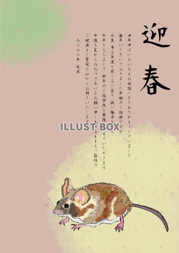 無料イラスト 終活年賀状水彩 二十日鼠横