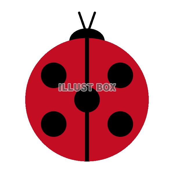 アイテム32-1
