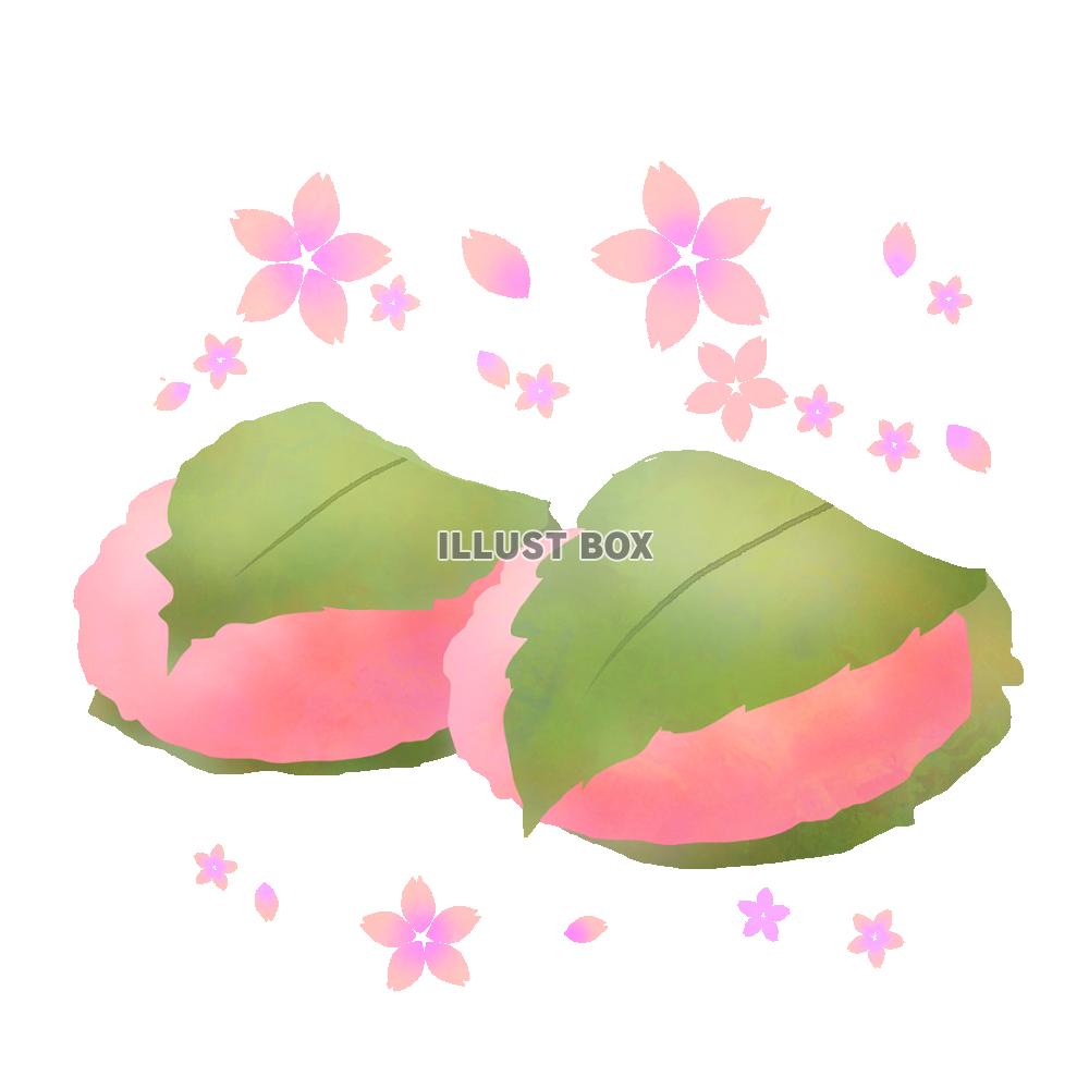 花の島 心に強く訴える桜餅 イラスト かわいい