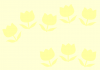 チューリップの壁紙・背景・模様３（黄色・春・花）