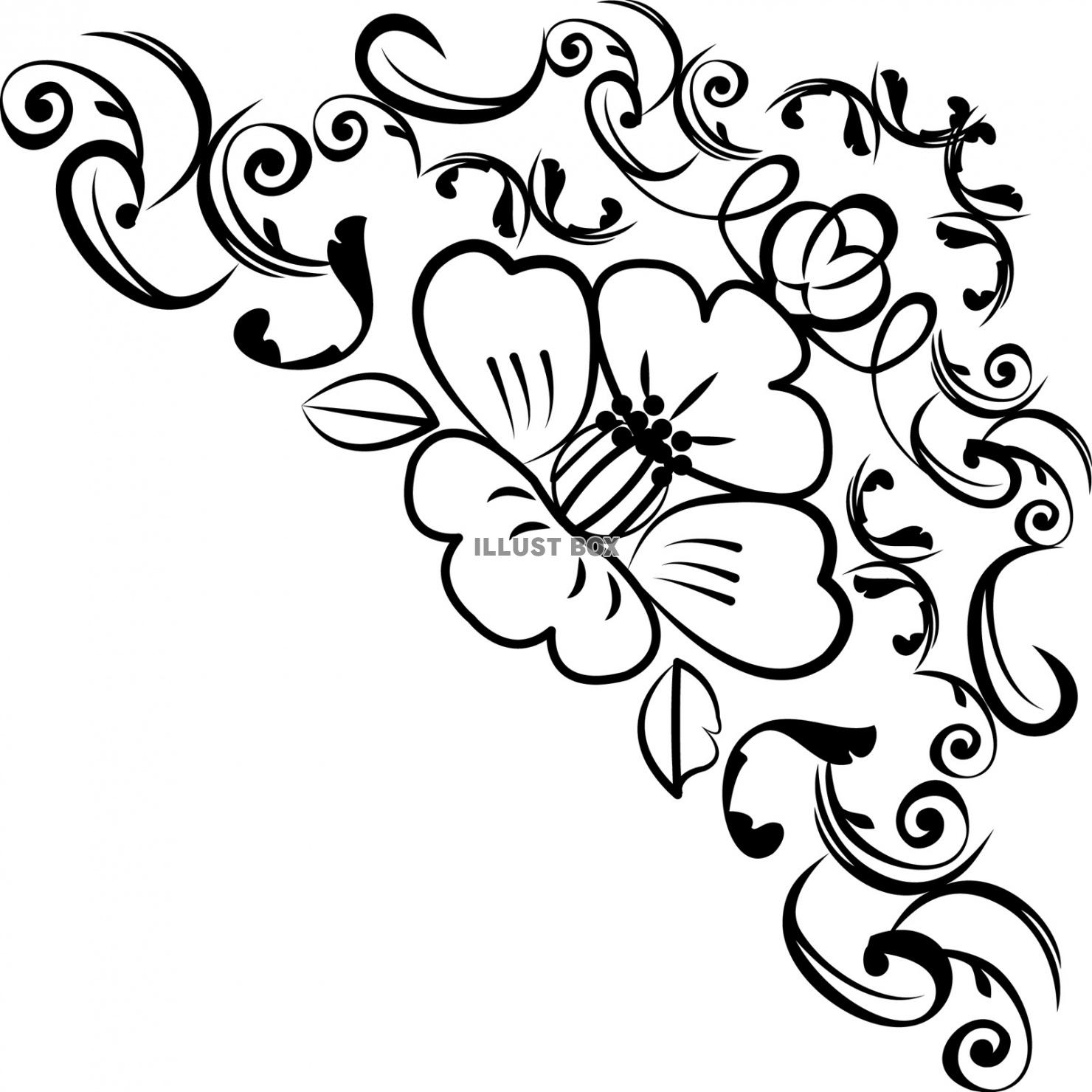無料イラスト 飾り 花 フレーム 枠 椿 背景 シルエット ライン 和風