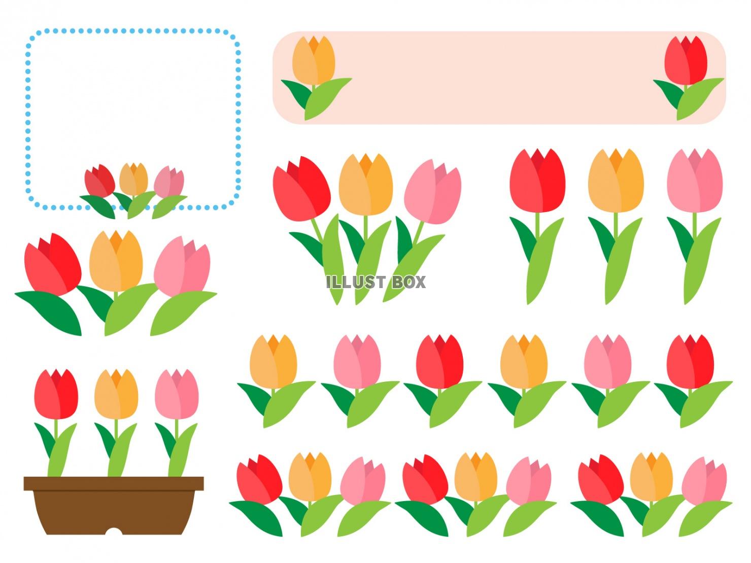 無料イラスト チューリップのフレーム ラインセット