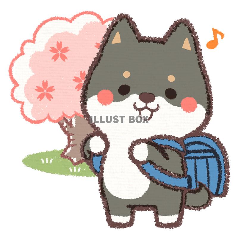 黒柴イヌ入学式（青）
