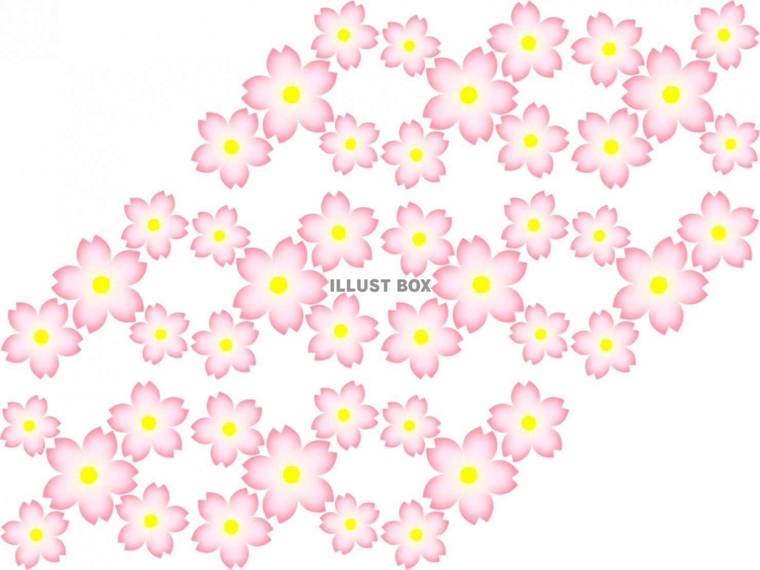 桜の花の壁紙シンプル花柄背景素材イラスト