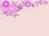 桜レトロ調おしゃれフレーム枠背景花枠シンプル壁紙さくら春サクラピンク色かわいいア