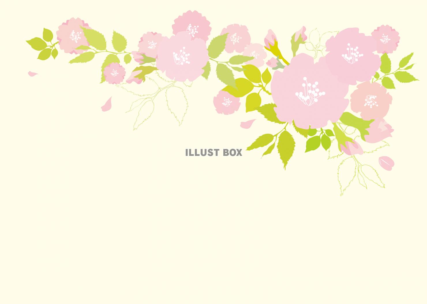 無料イラスト 桜 飾り 花おしゃれフレーム枠背景シンプル 春 ピンク 枠