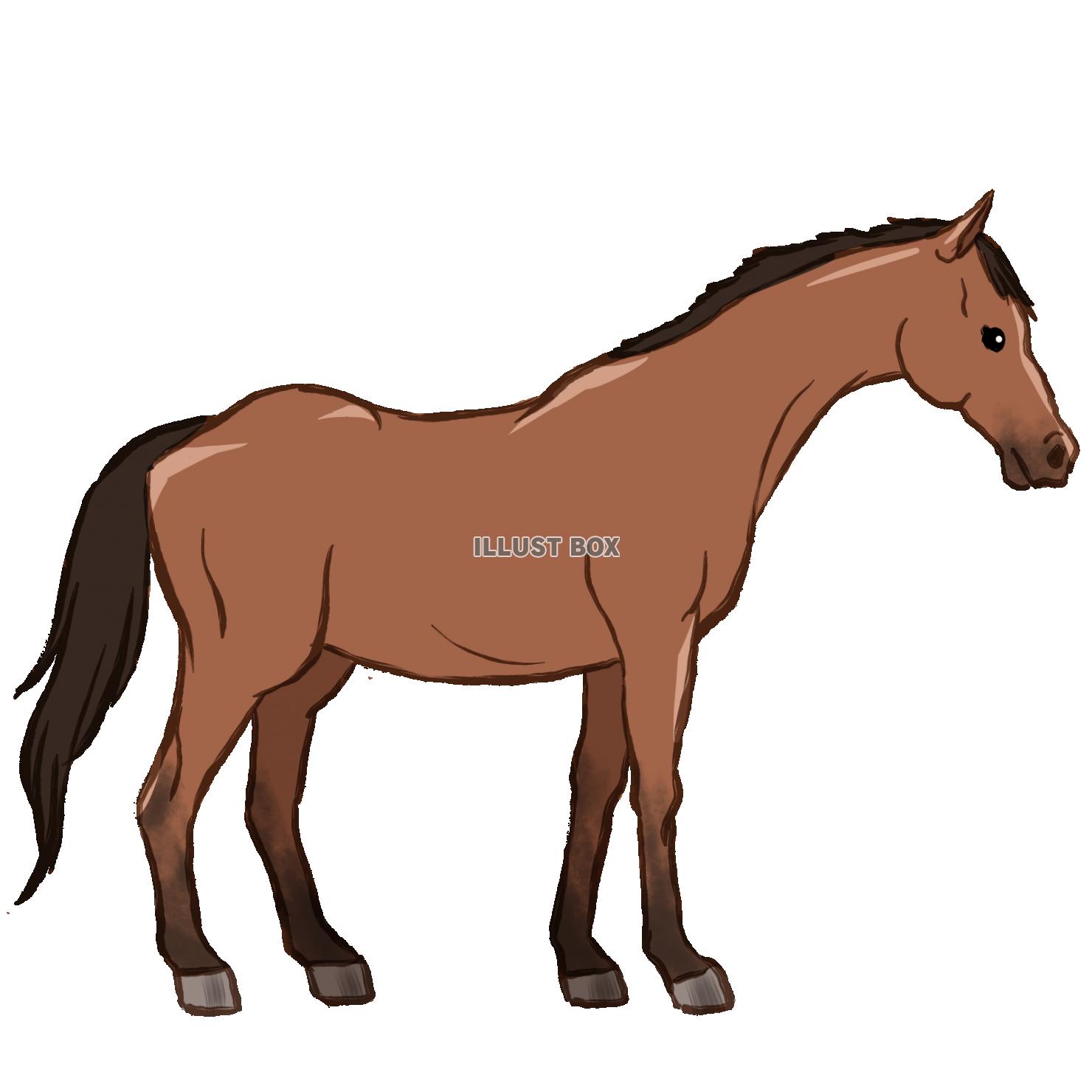 競馬 イラスト無料