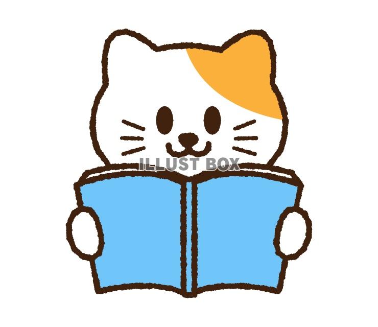 本を読む猫のイラスト