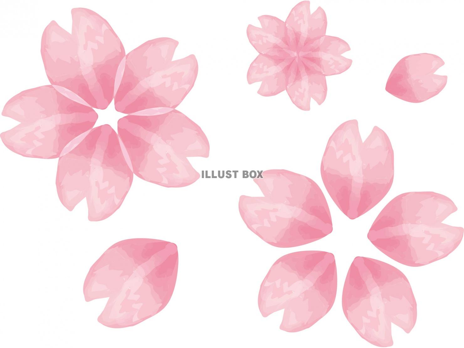 無料イラスト 桜 水彩 飾りさくら花かわいい和風 ピンク アイコン 春 シ