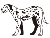 犬のイラスト（ダルメシアン） 