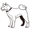 犬のイラスト（柴犬）