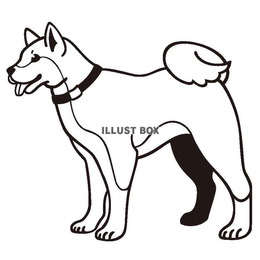 ラブリー柴犬 犬 イラスト 白黒 ディズニー画像のすべて