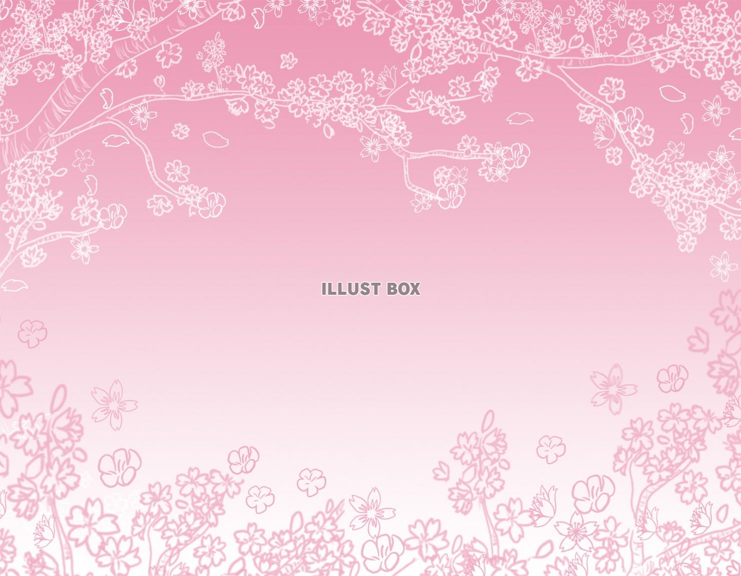 桜,背景,ピンク色壁紙バック,シンプル,背景素材飾り,和風,...