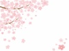 桜背景04