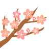 枝付き桜　透過png