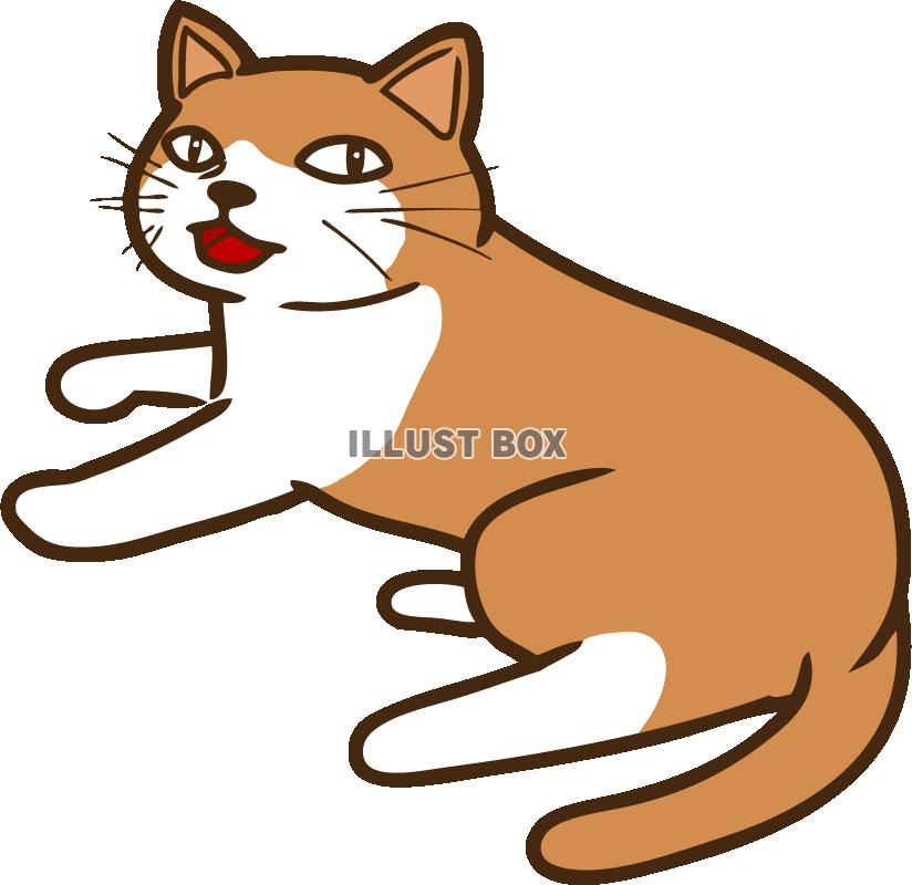 にゃんこさま02