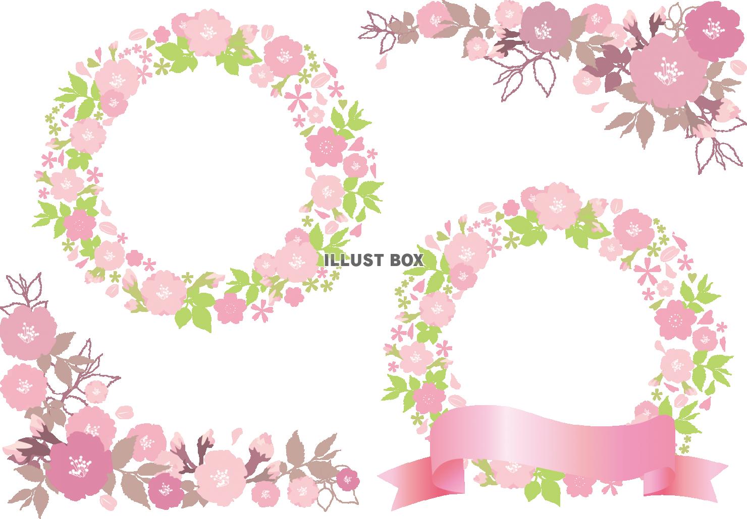 無料イラスト 桜 フレーム 飾り 枠 春 花 イラスト 背景 さくら サク