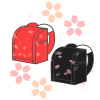 ランドセルと桜　透過png