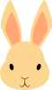 ウサギの頭