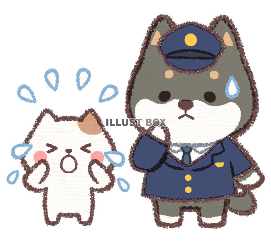 警察官黒柴イヌと迷子のネコ