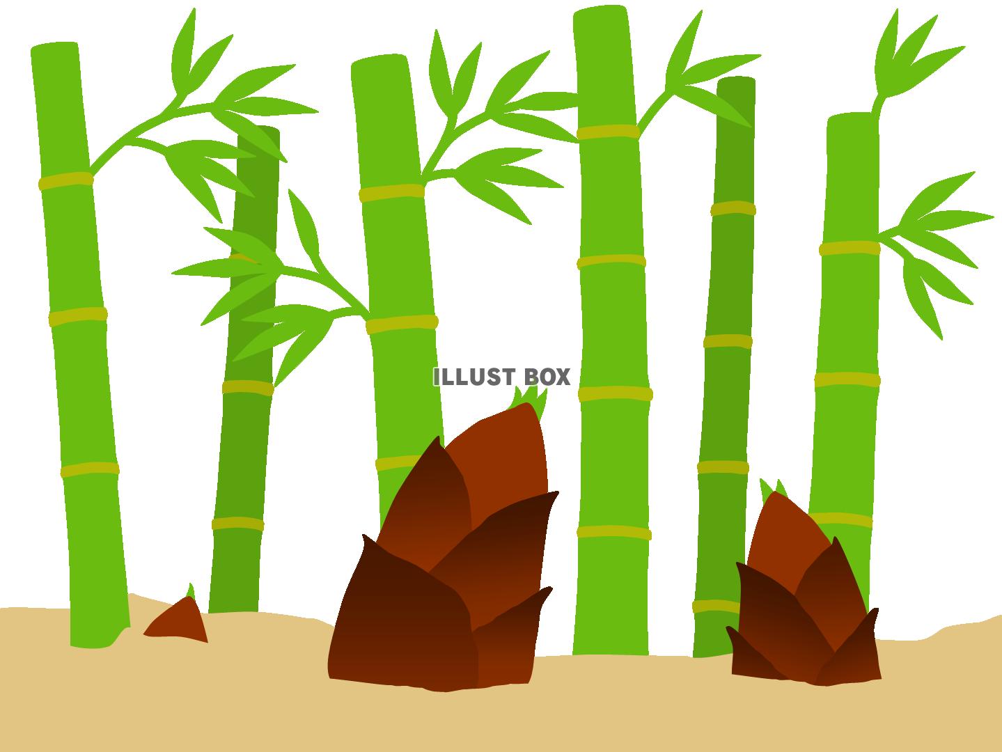 無料イラスト 竹林の中のタケノコ２ 春の味覚 筍 竹の子狩り
