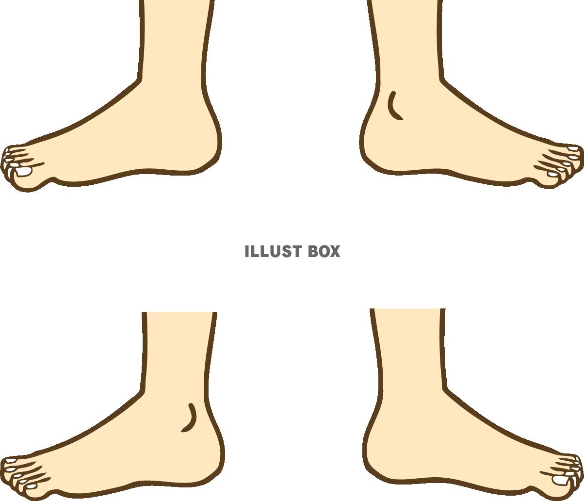 無料イラスト 足 横から見た図