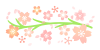 桜と植物ライン　透過png