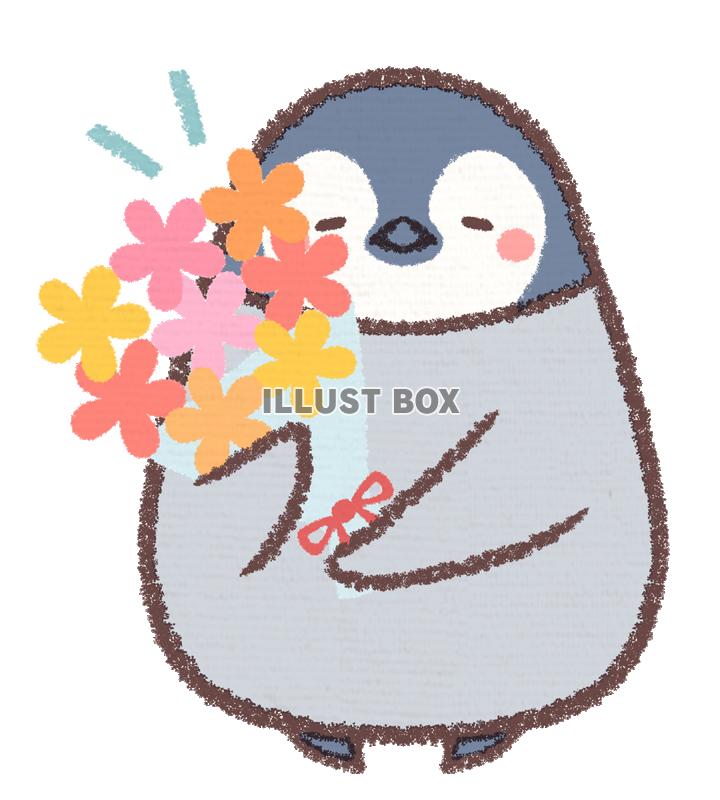 かわいい ペンギンのイラストが無料 イラストボックス