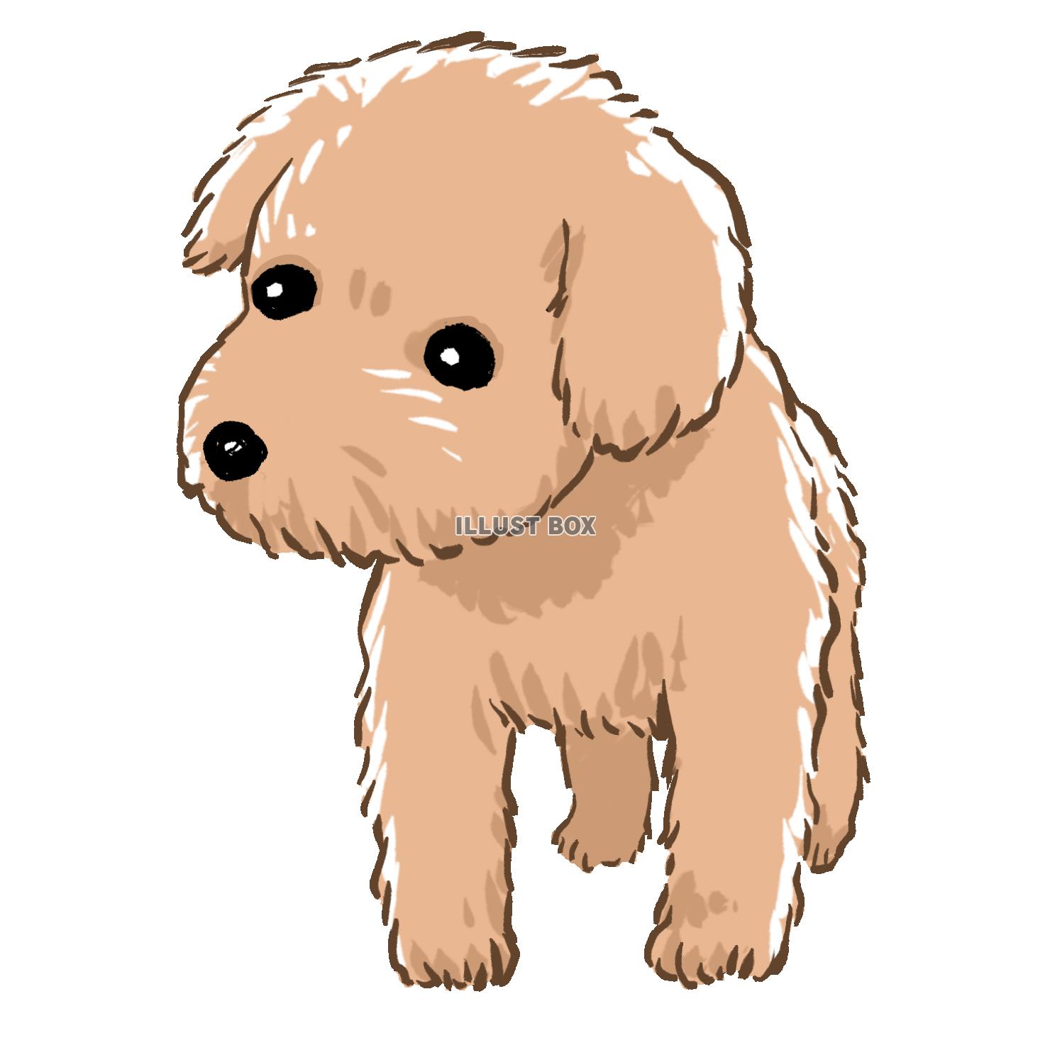 小型犬 イラスト無料