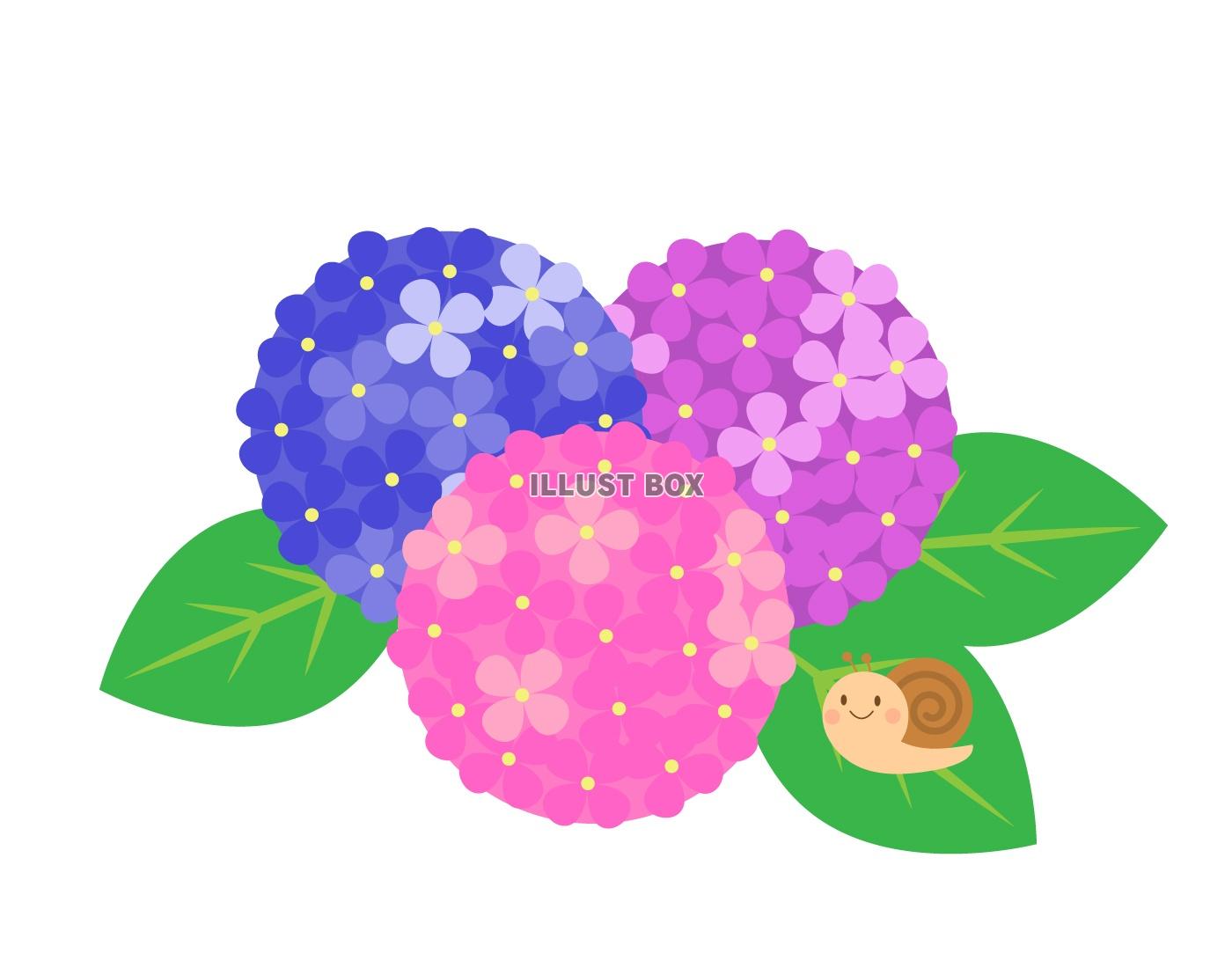 無料イラスト 紫陽花とカエル