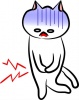 にゃんこさん腹痛【JPG】