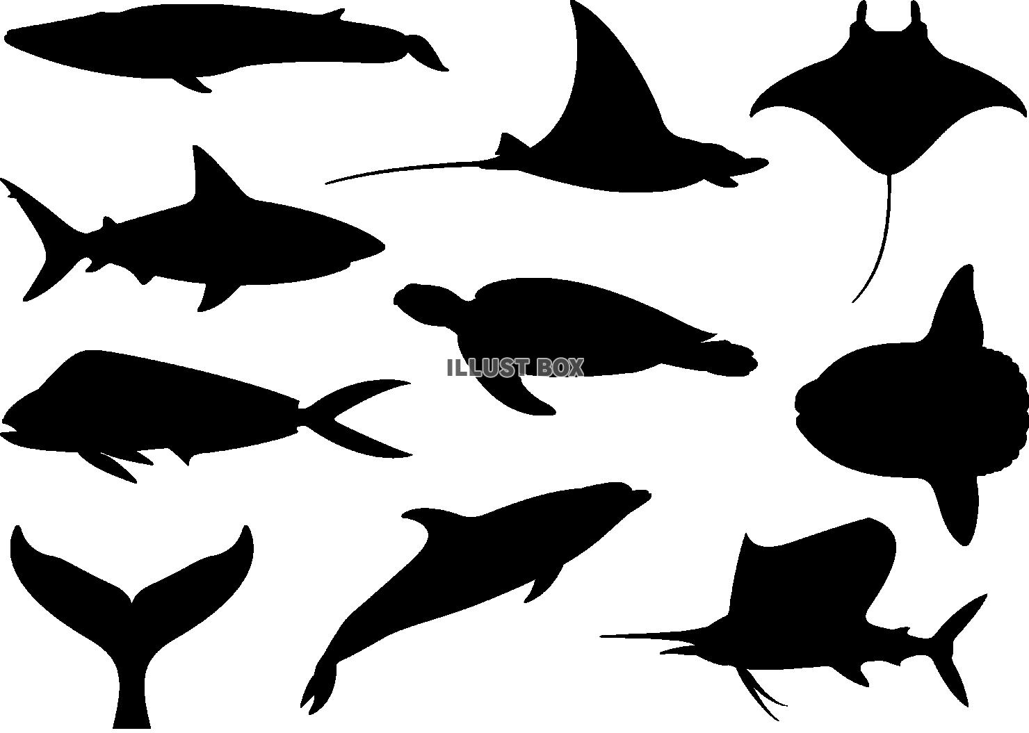 海の生き物 白黒 シルエット イラストが無料 イラストボックス