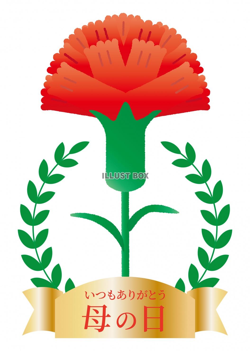 花05_15（カーネーション）