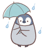 傘さしペンギンヒナ