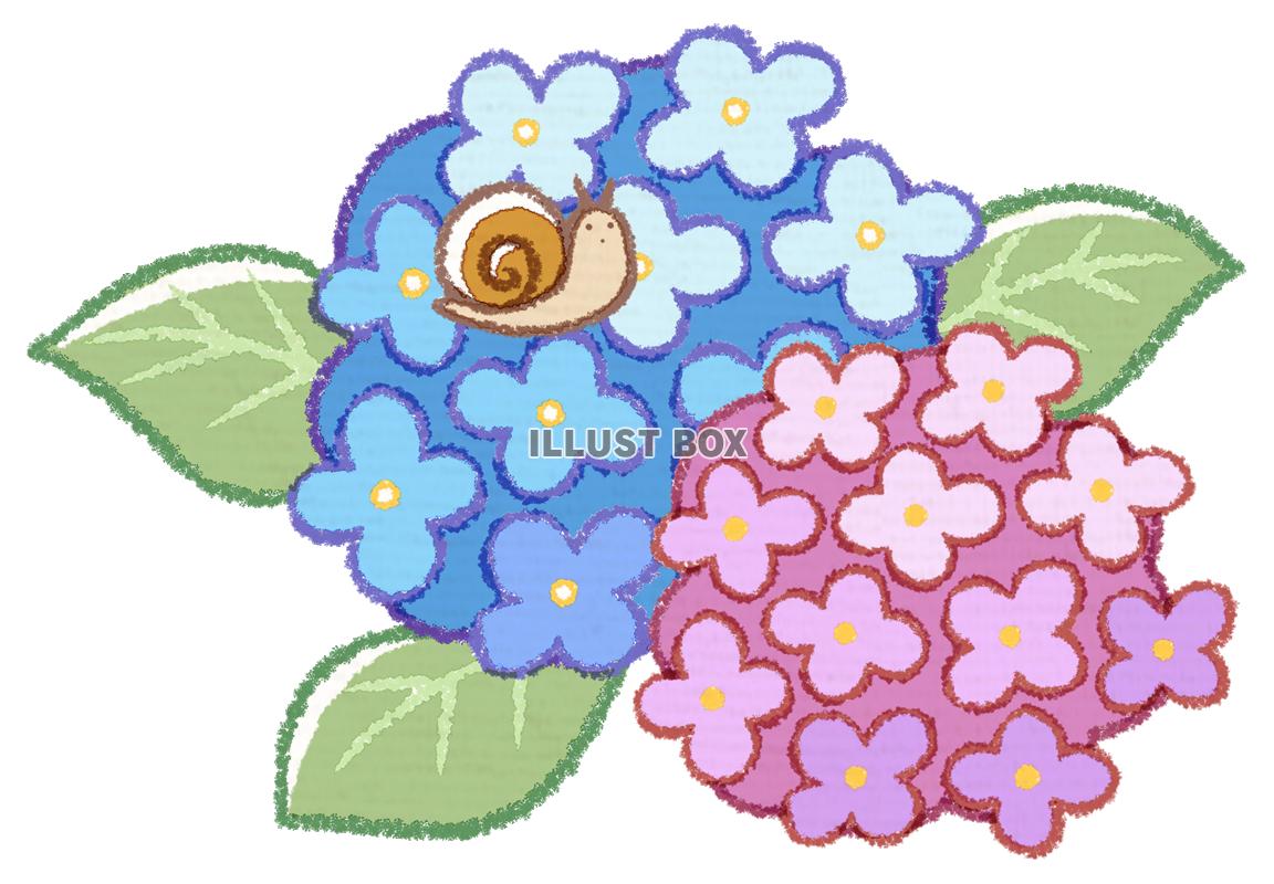 無料イラスト 紫陽花とカタツムリ
