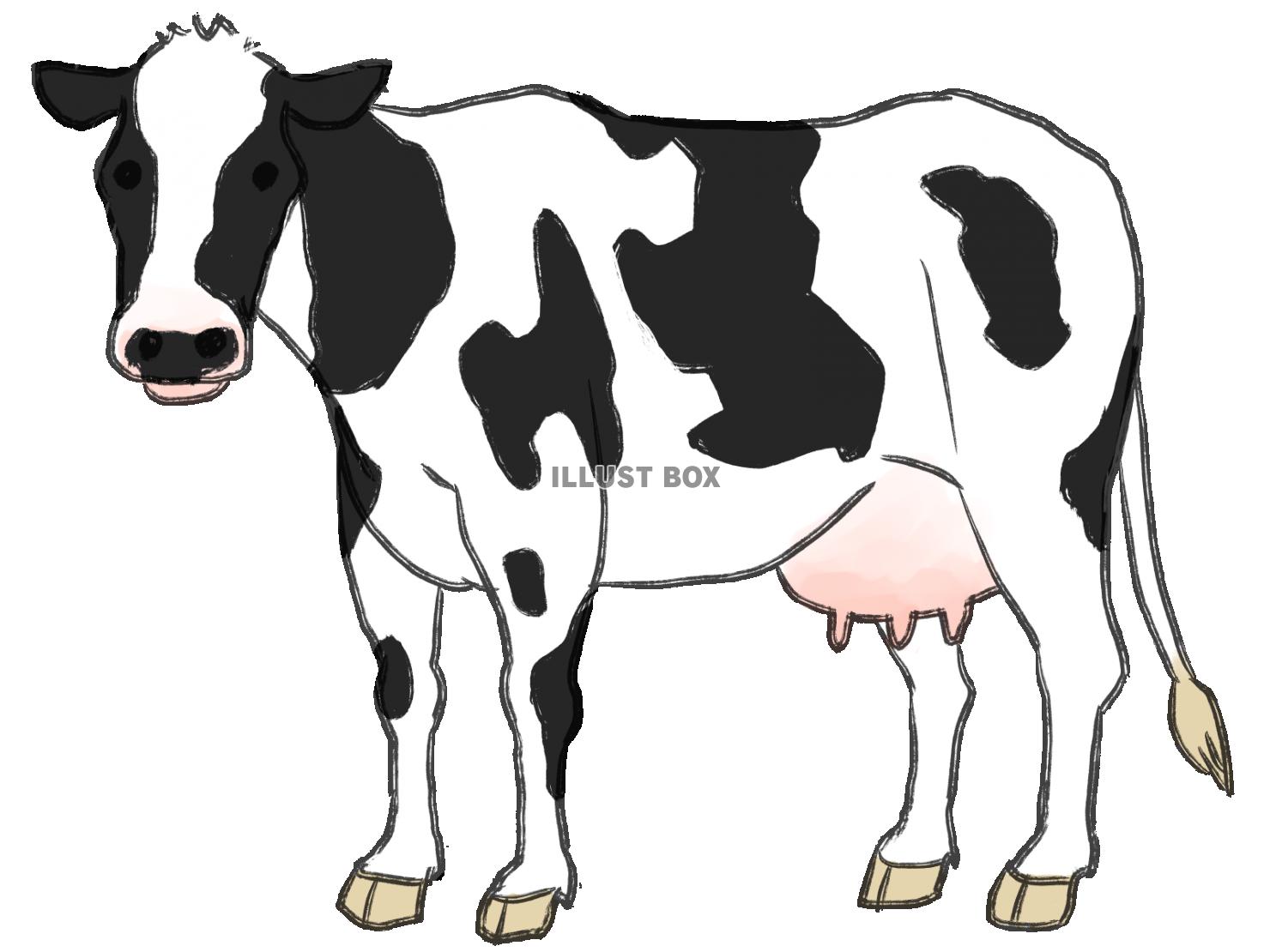 50 おしゃれ リアル 牛 イラスト かわいい動物画像