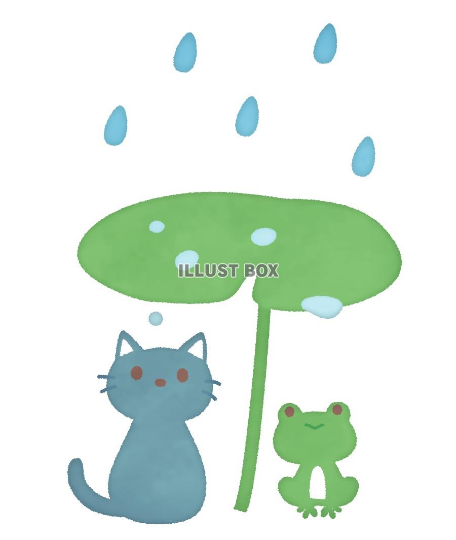 無料イラスト 雨の日の猫とカエル