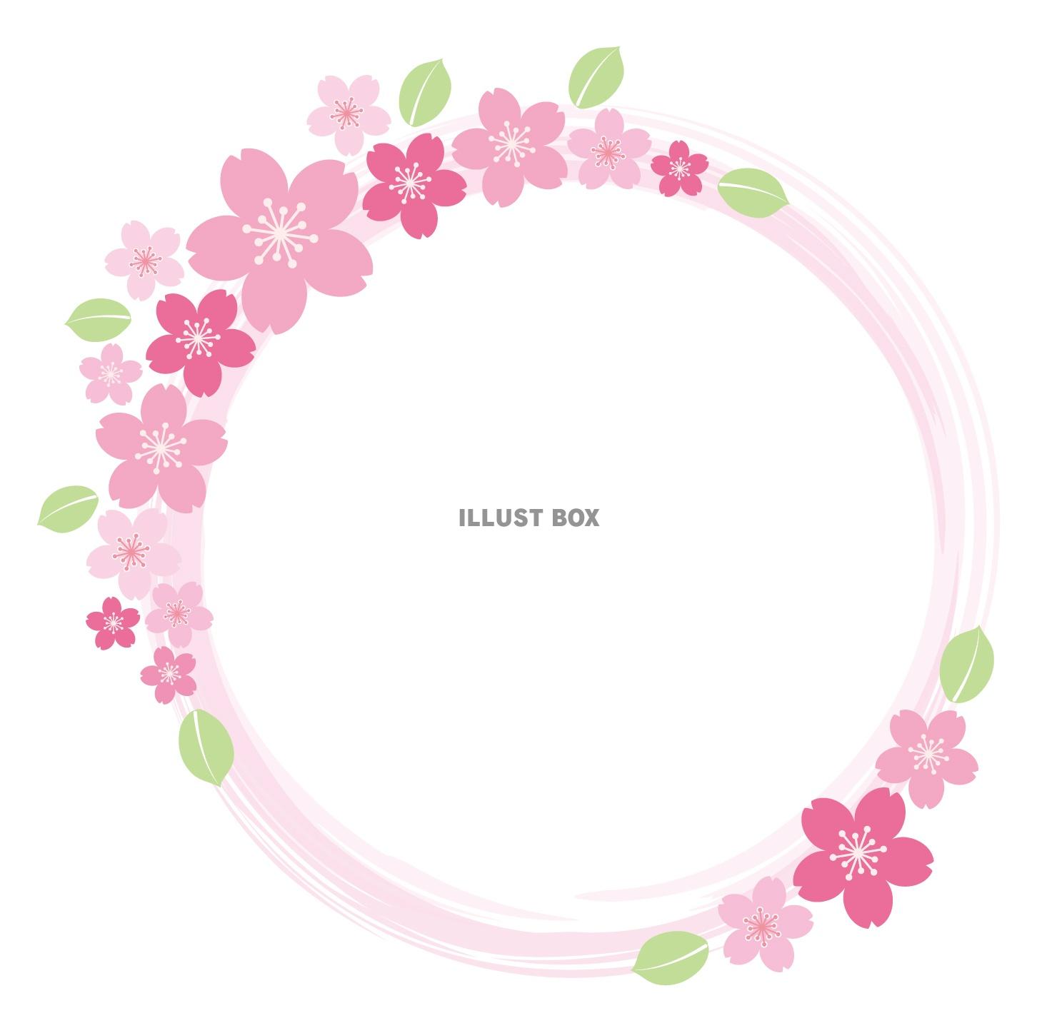 無料イラスト 桜の円形フレーム
