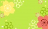 桜のカード
