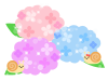 かたつむりと紫陽花　透過png