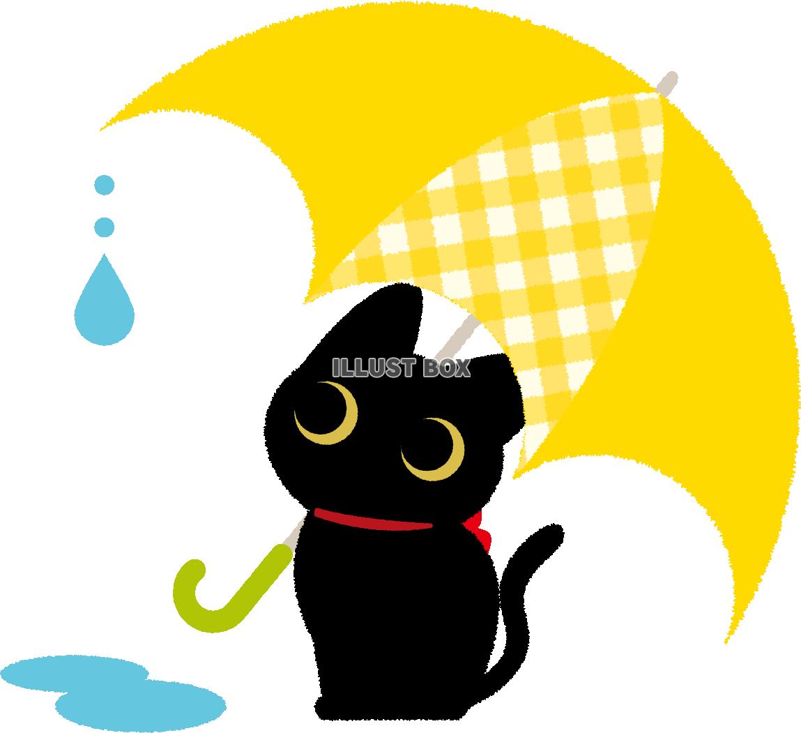 雨宿りの猫