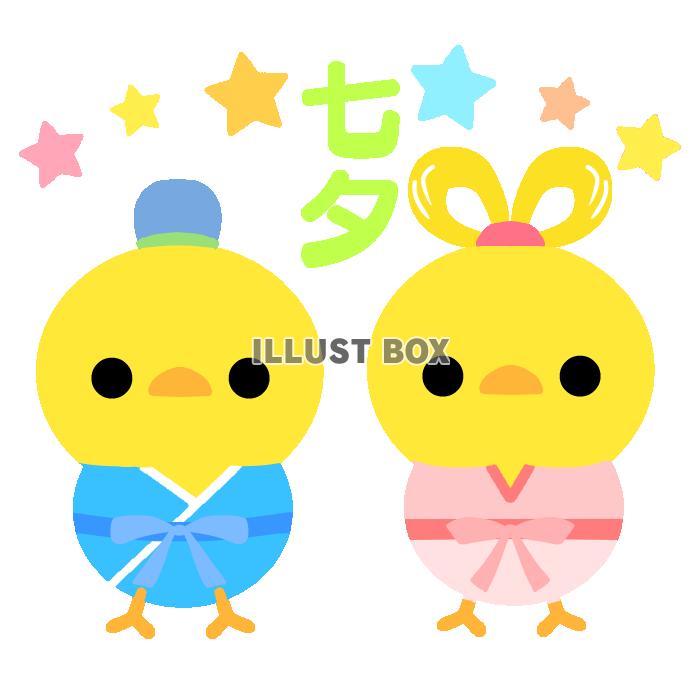 ひよこの織姫と彦星　透過png