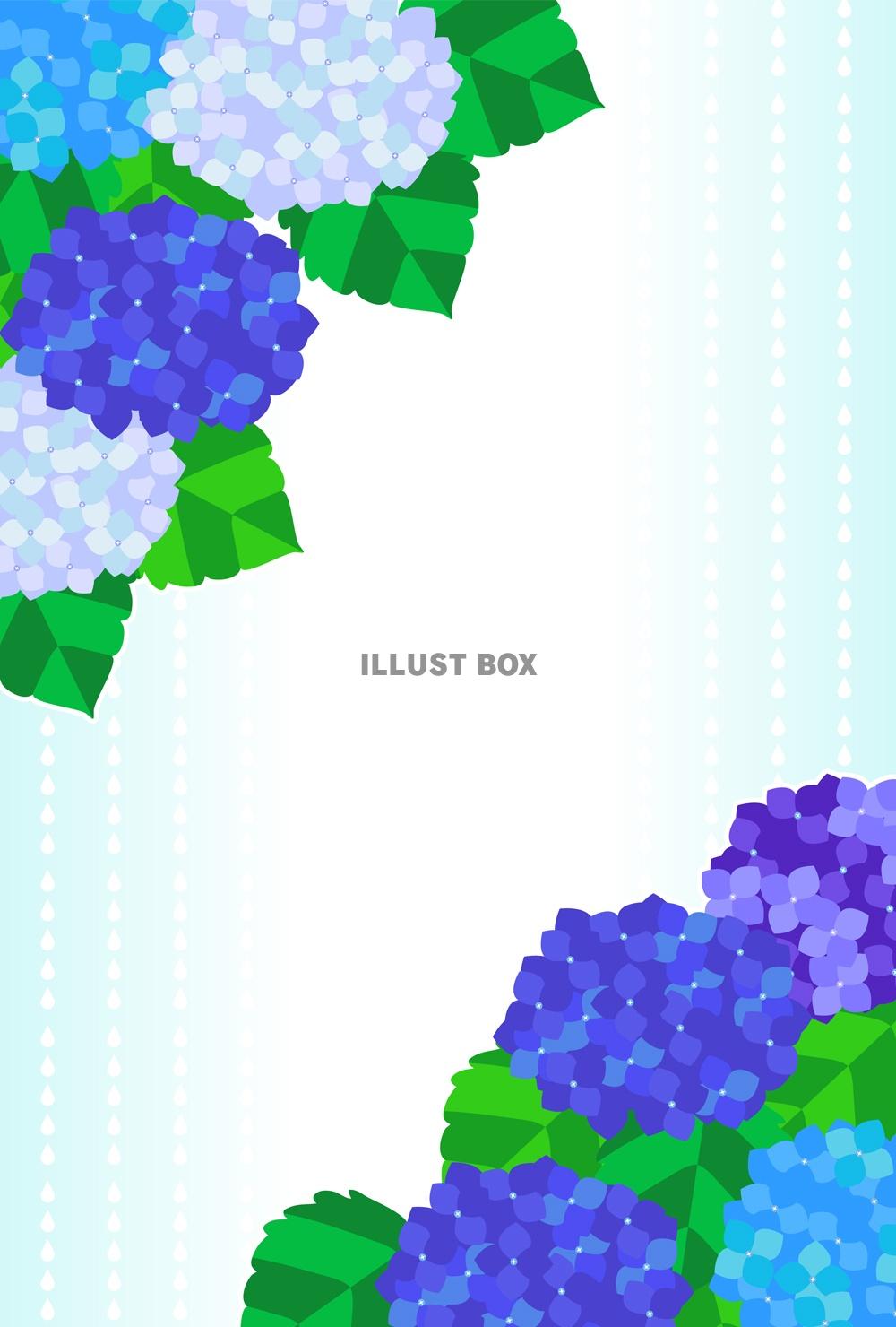 無料イラスト 紫陽花のイラストのカード 縦型