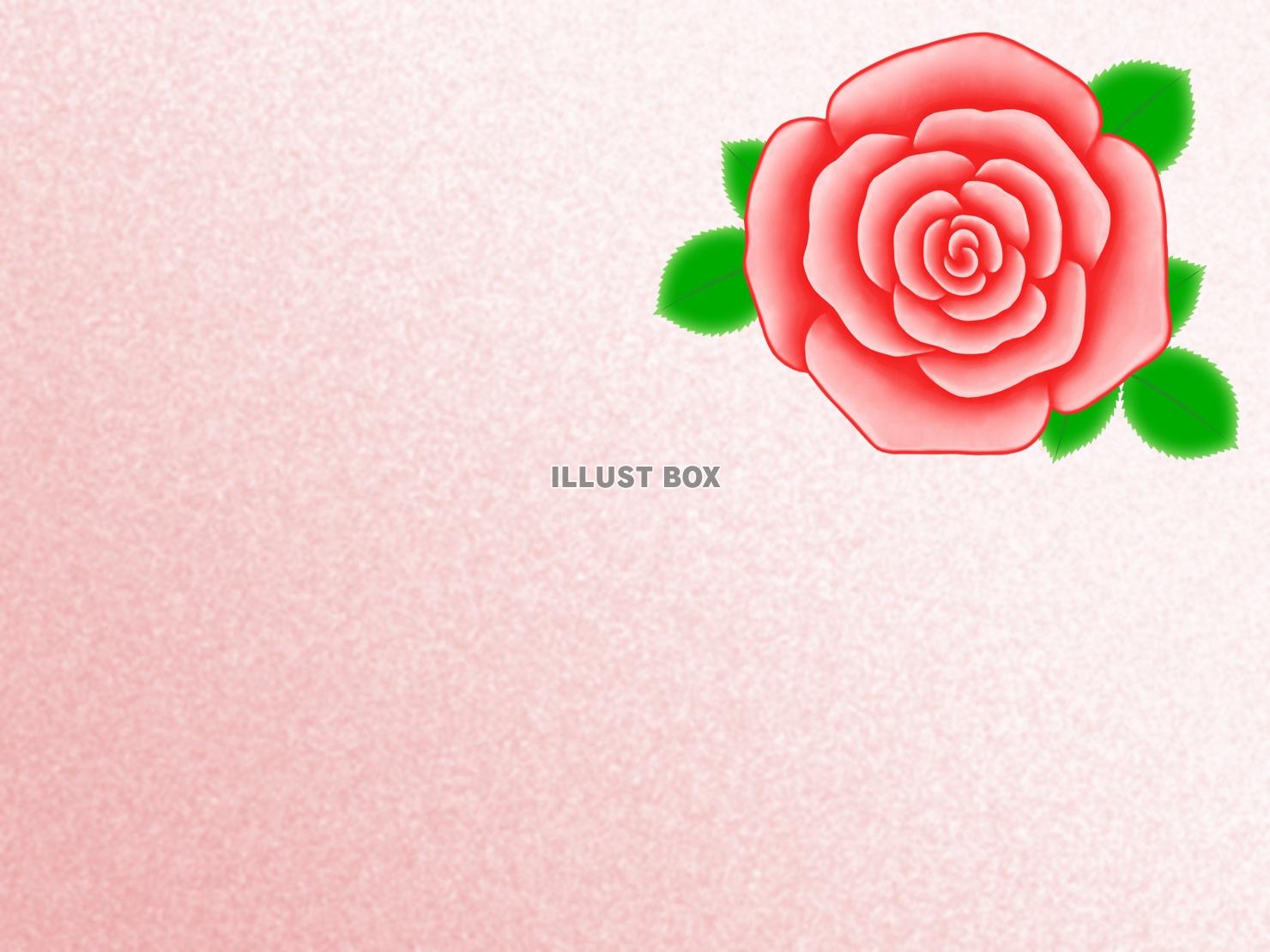 薔薇の花の壁紙シンプル花柄背景素材イラスト