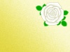 薔薇の花の壁紙シンプル花柄背景素材イラスト