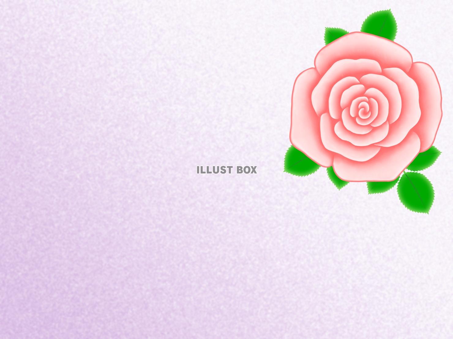 トップ100薔薇 壁紙 シンプル 最高の花の画像
