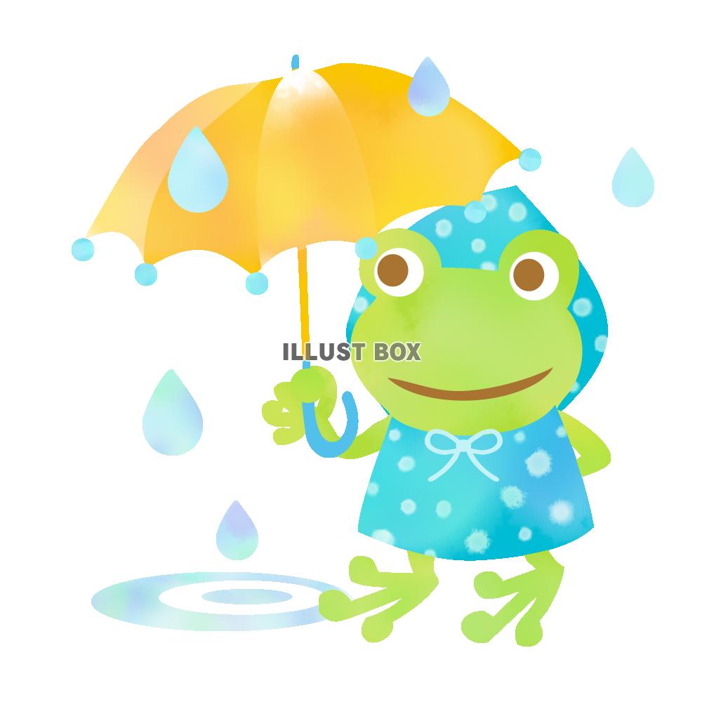 雨の日のカエル　透過PNG