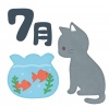 7月　猫と金魚